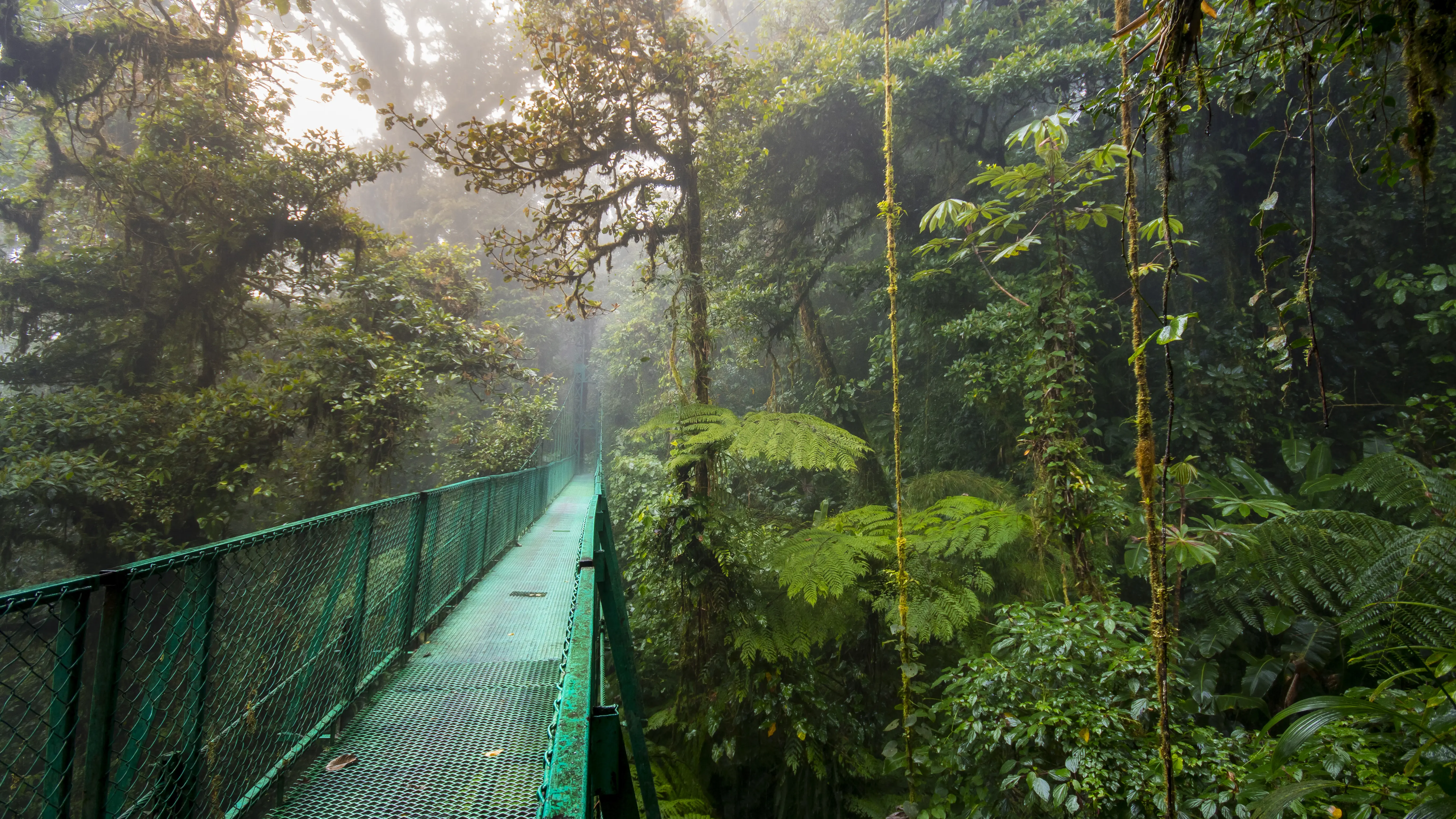 Metal bridge in the jungle Costa Rica