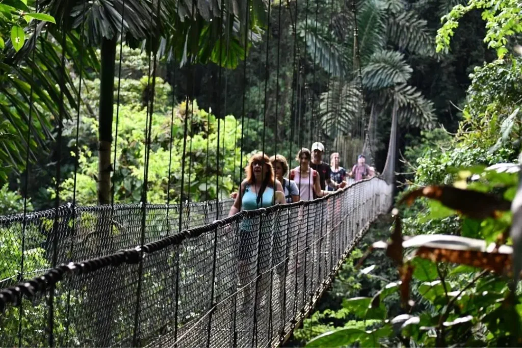 Hanging Bridges Arenal Costa Rica with Canoa Aventura