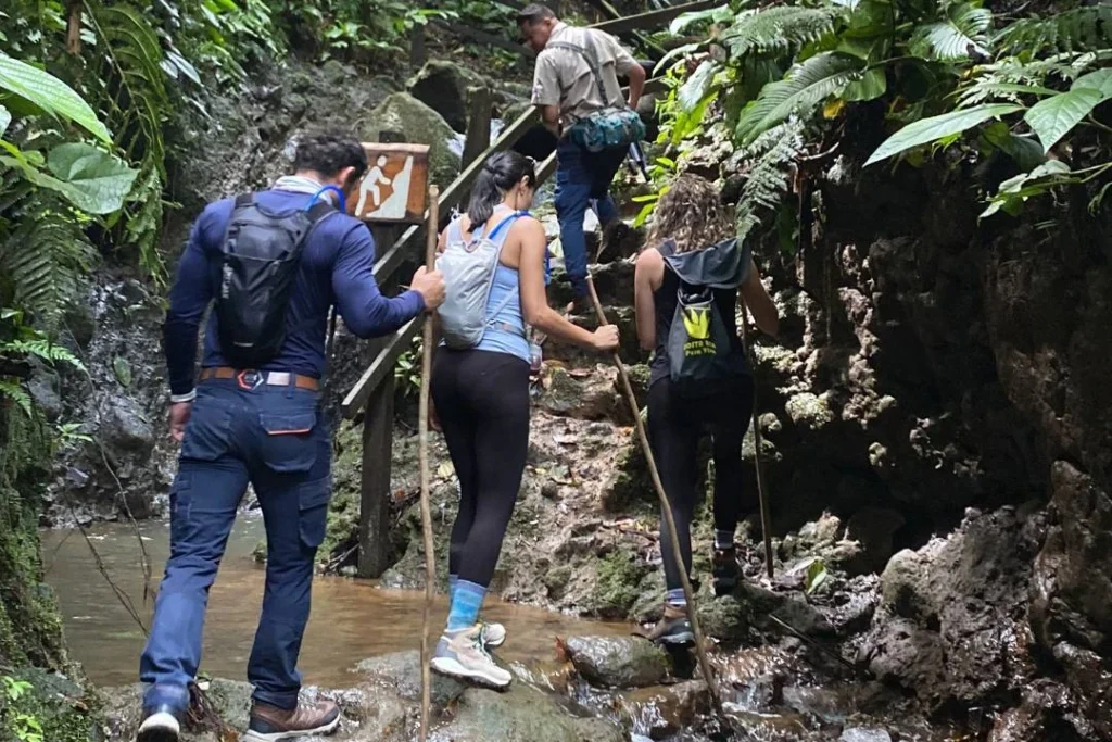 Costa Rica Wild Trek
