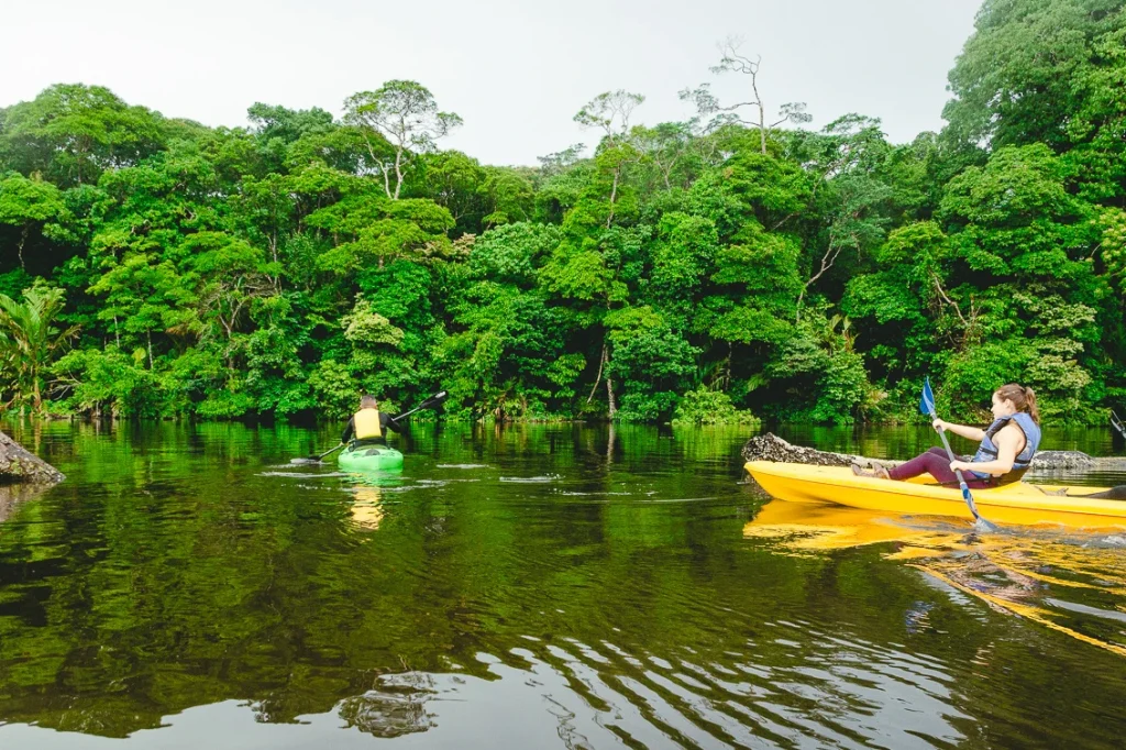Kayaking in Tortuguero canal Costa Rica