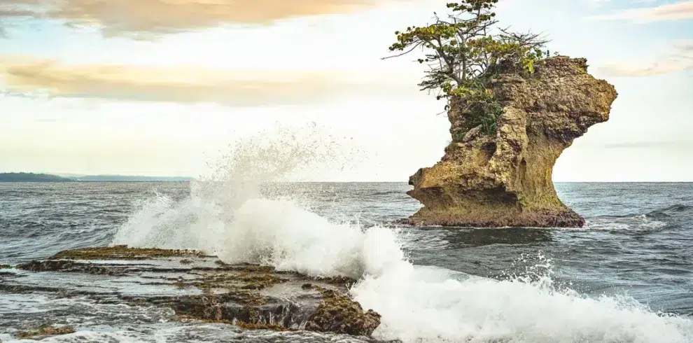 Waves breaking on coral in caribbean coast Costa Rica
