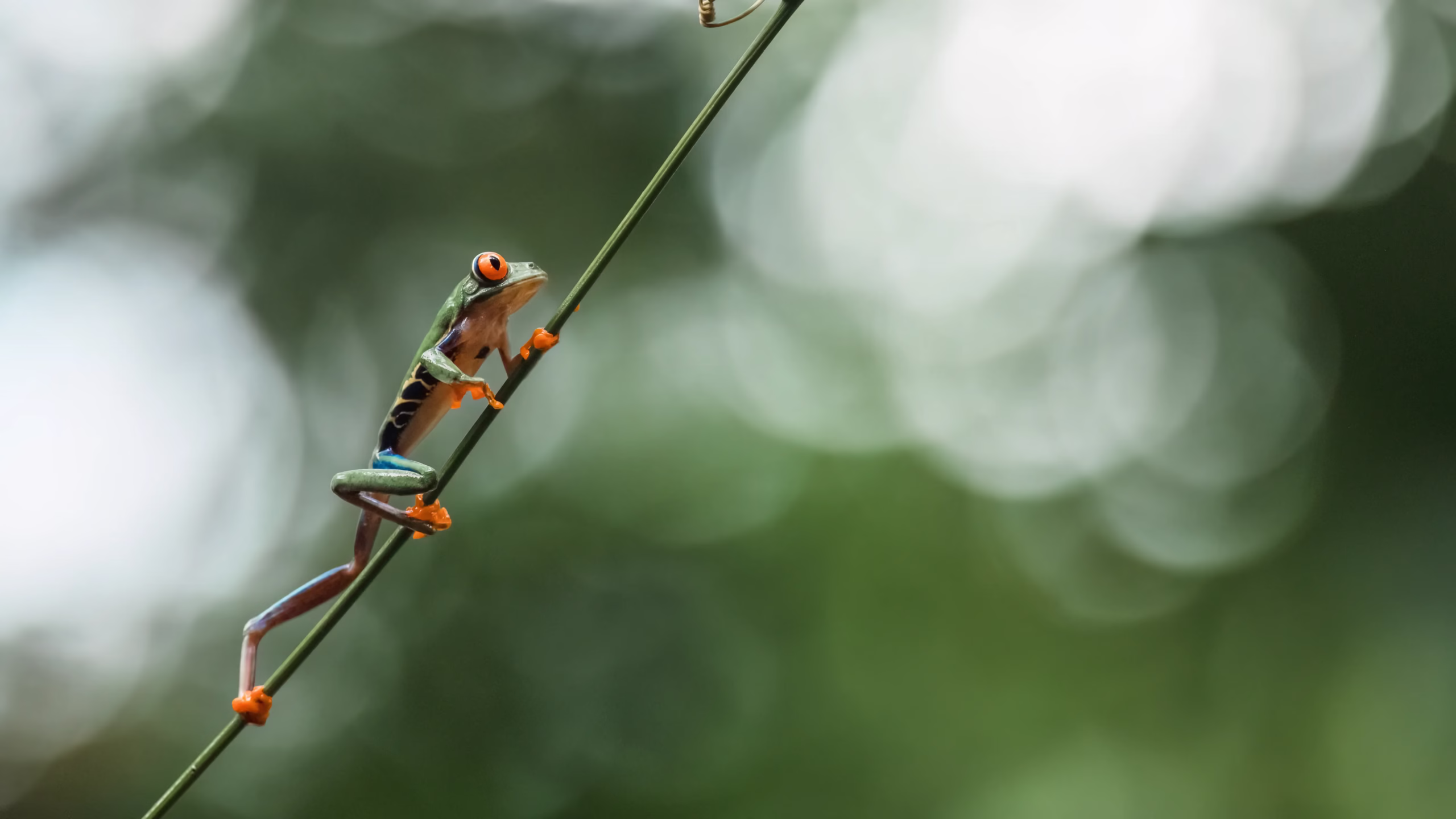 Nachhaltigkeit in Costa Rica